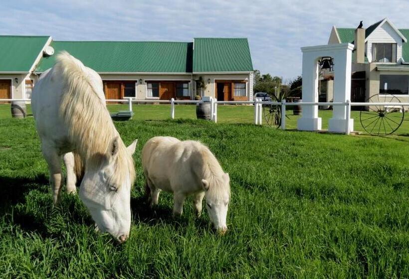Люкс Повышенной Комфортности, Tniqua Stable Inn
