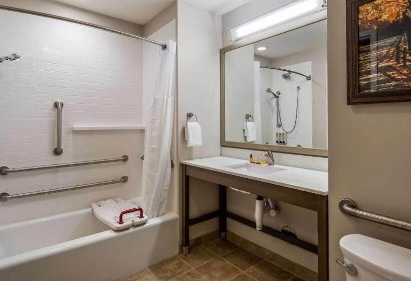 适合残疾人使用的标准间, Best Western Plus Bolivar Hotel & Suites