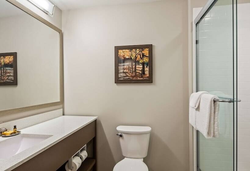 套房, Best Western Plus Bolivar Hotel & Suites