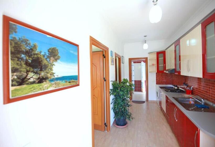 스탠다드 트리플 룸, My Home Guest House