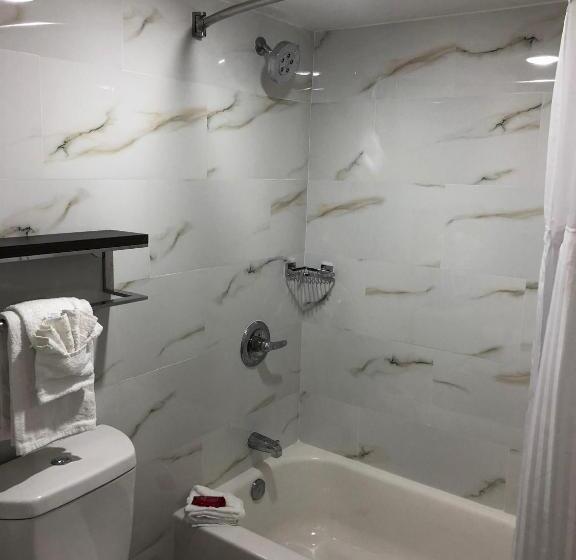 스탠다드 룸 킹사이즈 침대, Surestay Plus Hotel By Best Western Sacramento Cal Expo