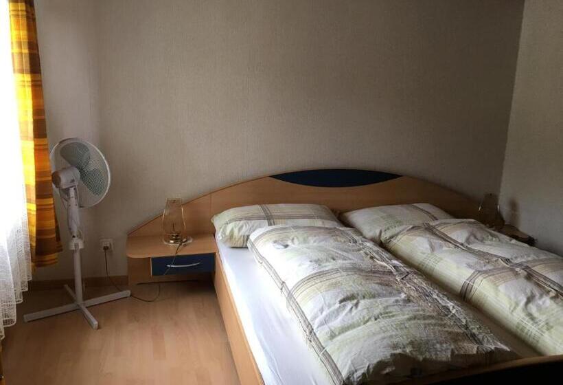 اتاق استاندارد با سرویس بهداشتی مشترک, Backpackers Gasthaus Post