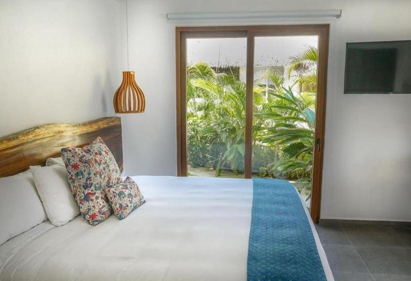 ジュニアスイート, Ysuri Sayulita
