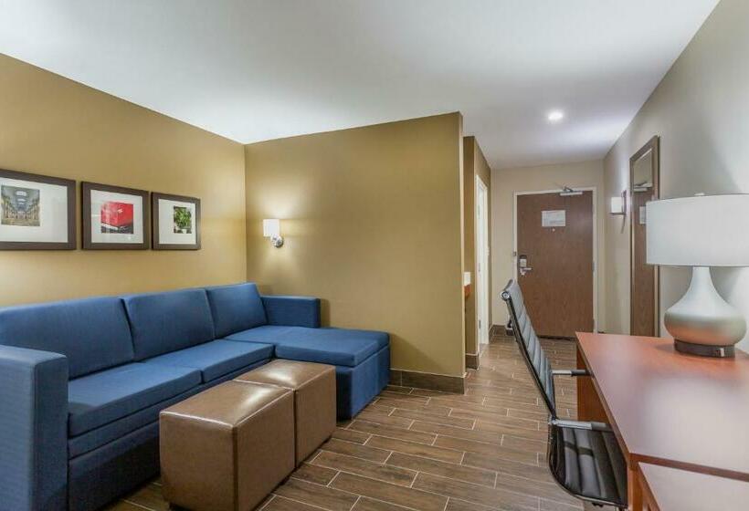 Люкс Кровать Квин, Comfort Suites