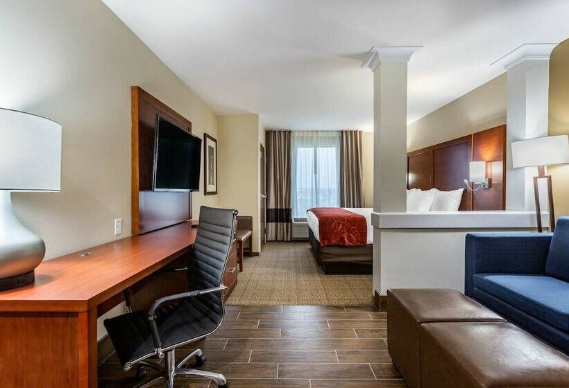 Люкс Адаптированный для Инвалидов, Comfort Suites