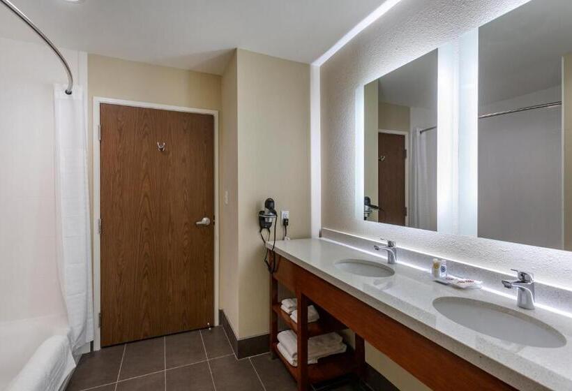 Люкс Адаптированный для Инвалидов, Comfort Suites