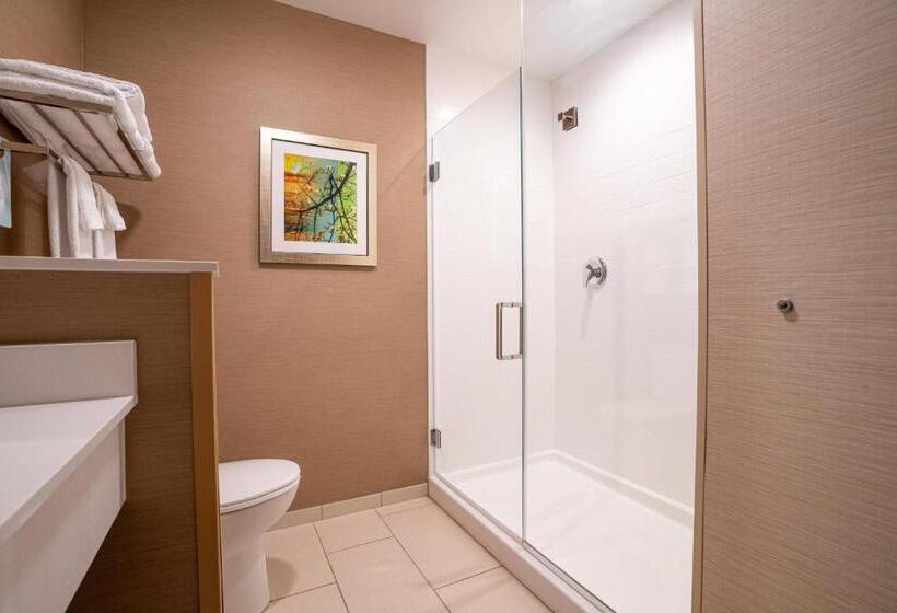 이그제큐티브 스위트, Fairfield Inn & Suites By Marriott Somerset