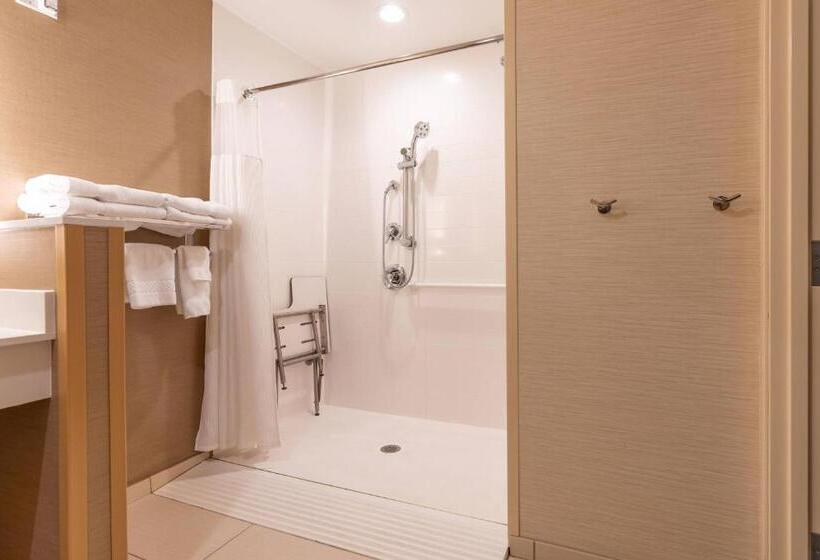 스탠다드 룸 킹사이즈 침대, Fairfield Inn & Suites By Marriott Somerset
