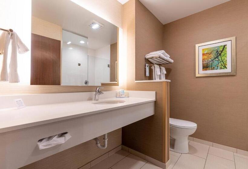 스탠다드 룸, Fairfield Inn & Suites By Marriott Somerset