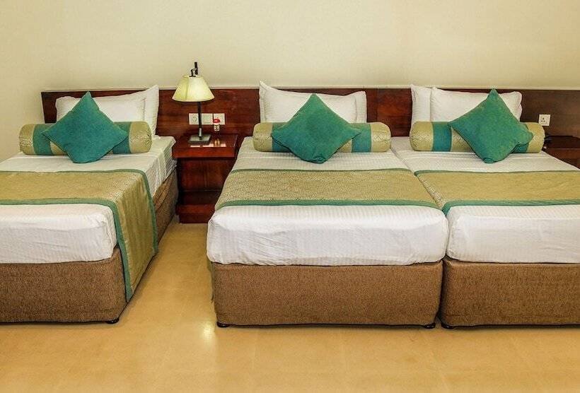 Трехместный Номер Deluxe, Oak Ray Heritage