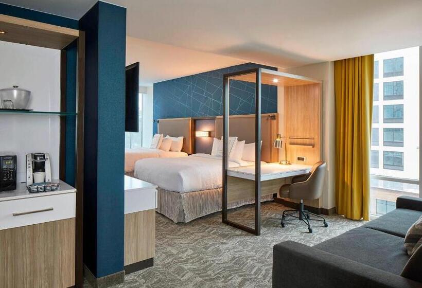 Lakosztály, Springhill Suites By Marriott Nashville Downtown/convention Center