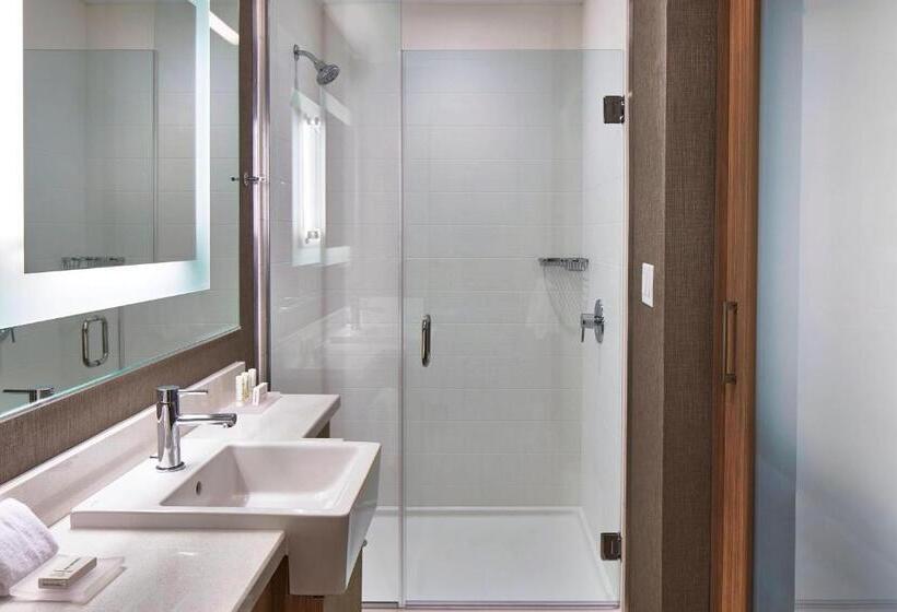 Mozgáskorlátozott Suite, Springhill Suites By Marriott Nashville Downtown/convention Center
