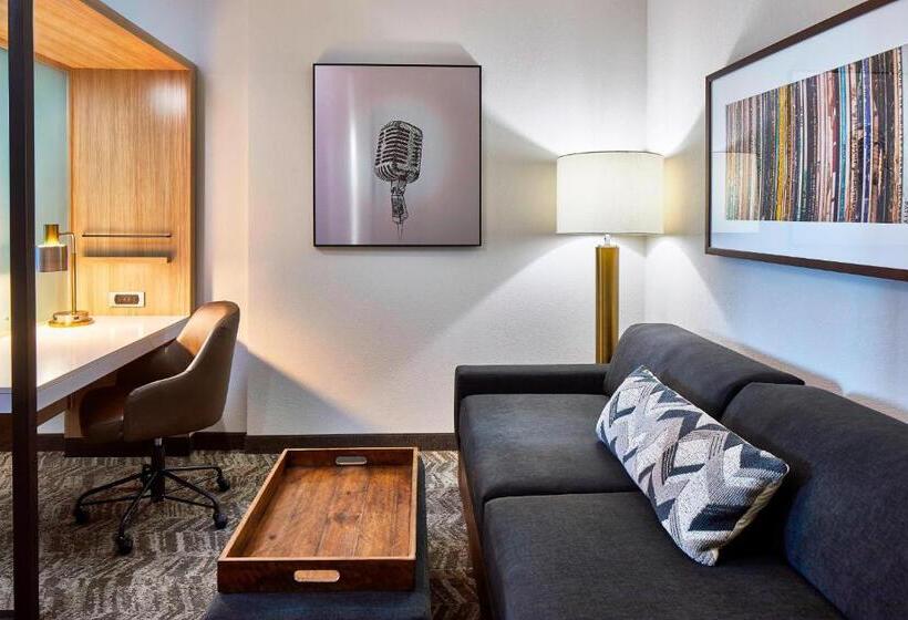 Mozgáskorlátozott Suite, Springhill Suites By Marriott Nashville Downtown/convention Center