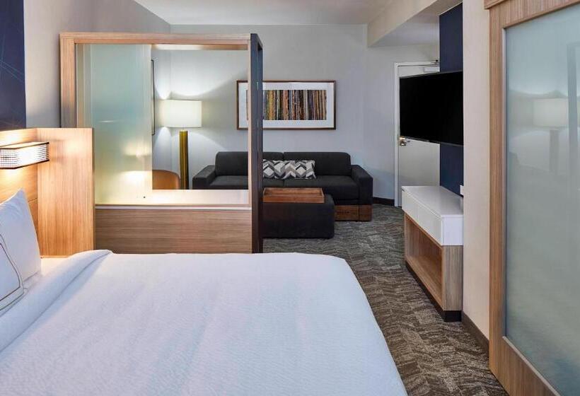 Suite King Size Bed, Springhill Suites By Marriott Nashville Downtown/convention Center