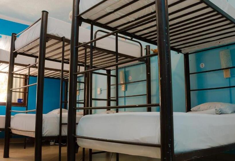 تختخواب در اتاق مشترک, 3b Wellness Hotel & Hostel