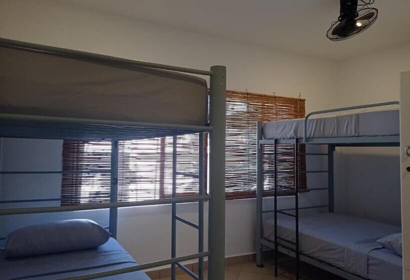 تختخواب در اتاق مشترک, 3b Wellness Hotel & Hostel