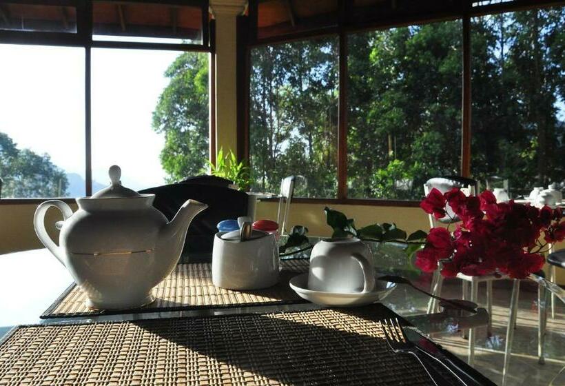 Quarto Estandar, Sky Green Resort
