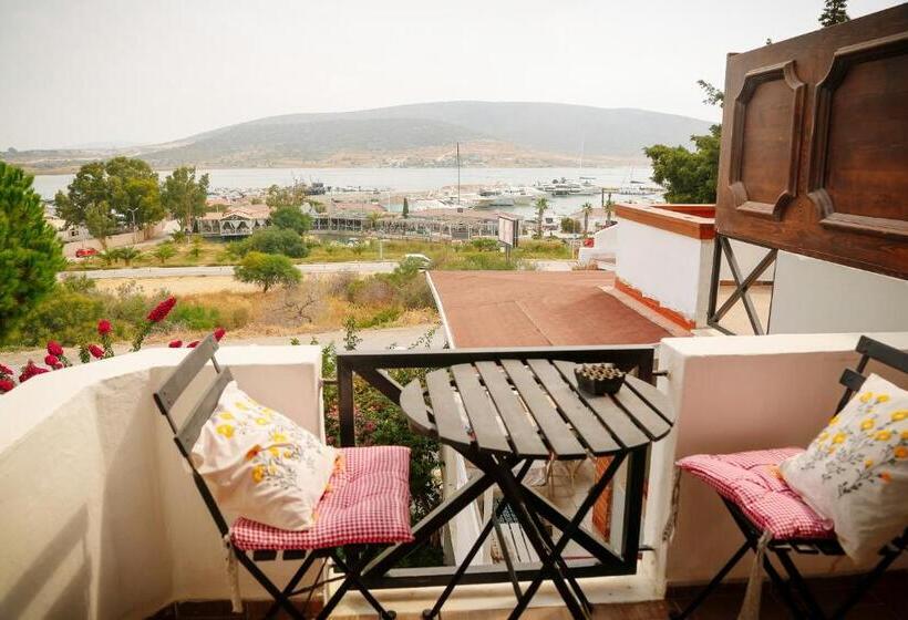 Quarto Estandar, Parva Port
