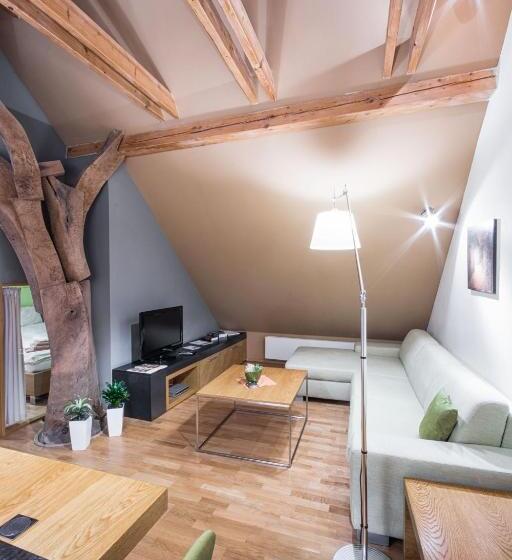 Апартаменты 1 Спальня, Apartmany Chornitzeruv Dum