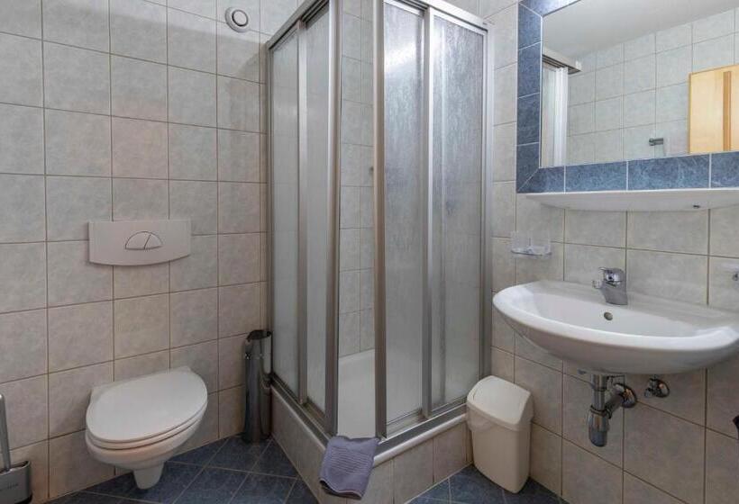Номер Стандарт, Gidis Hof
