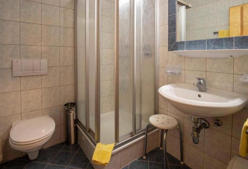 Апартаменты 2 Спальни, Gidis Hof