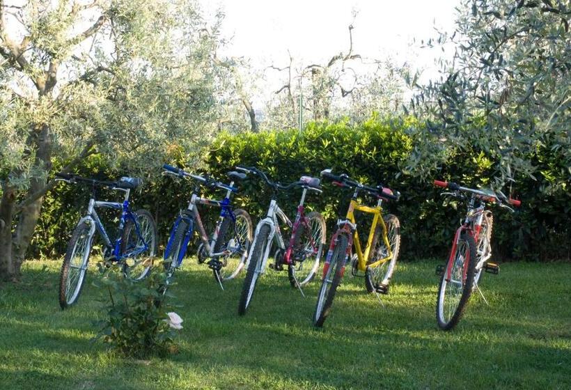 Апартаменты 3 Спальни, Agriturismo Macinatico