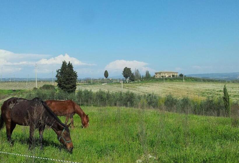 Апартаменты 4 Спальни, Agriturismo Macinatico