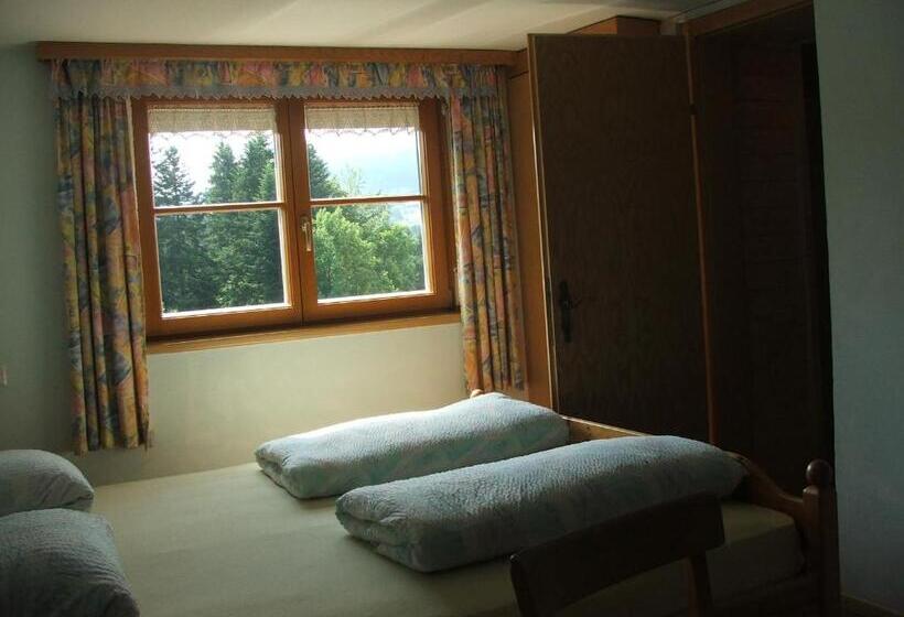 Номер Стандарт, Pension Jägerheim