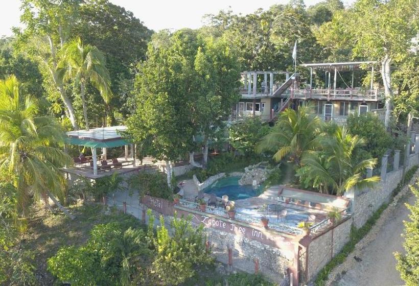 اتاق استاندارد سه نفره, Zapote Tree Inn