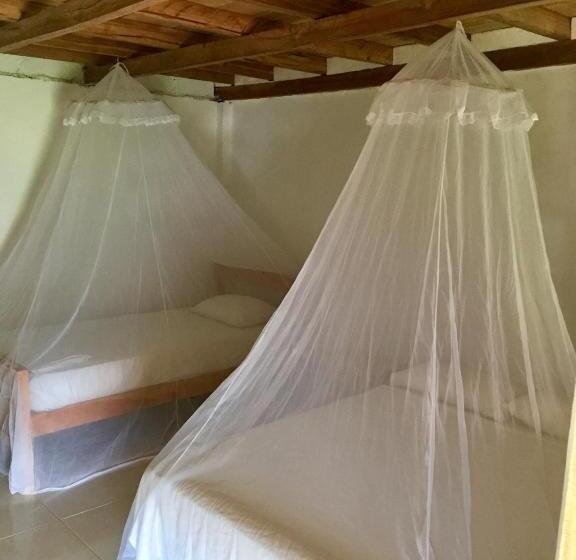 패밀리 룸, Palomino Breeze Hostal