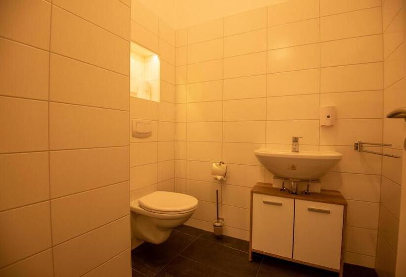 プレミアムスタジオ, City Appartements Weiz