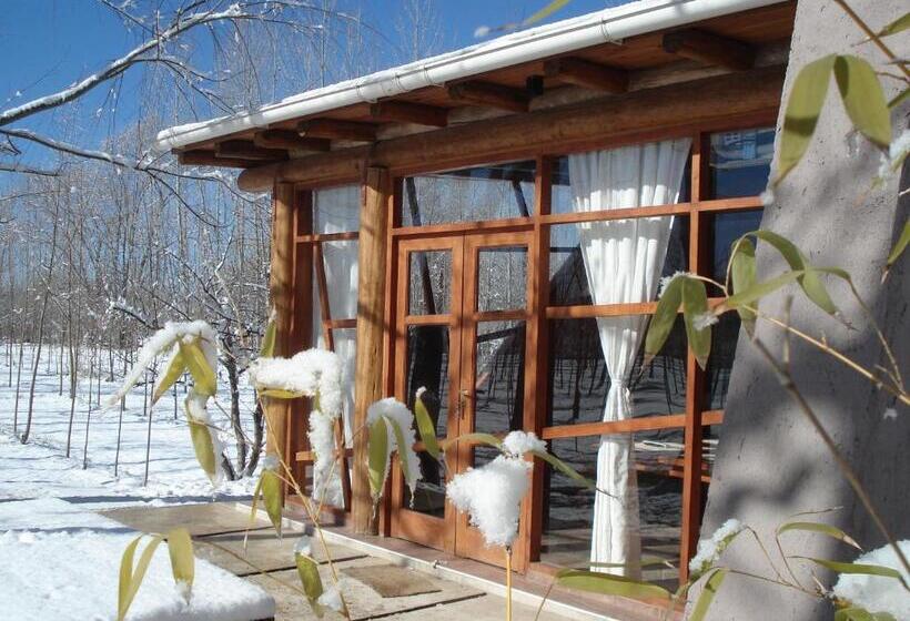 수피리어 방갈로, Caminos De Uco   Posada De Campo