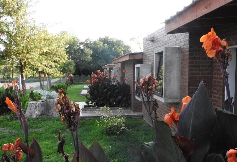 套房, Amaikén Suites