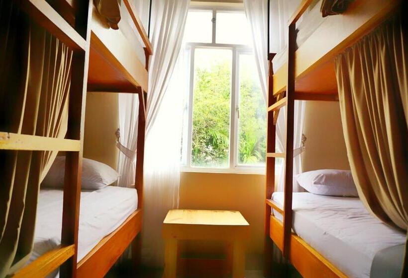 اتاق استاندارد با سرویس بهداشتی مشترک, Kokos Hostel Padang City