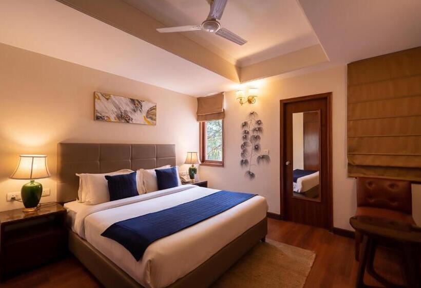 Номер Стандарт, Larisa Shimla