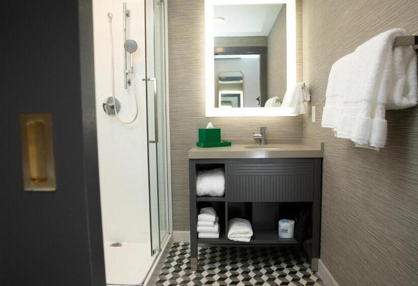 חדר סטנדרט עם מיטת קינג, Indigo   St. Louis   Downtown, An Ihg