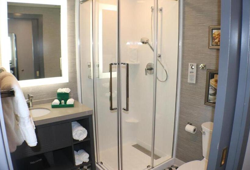 סוויטה, Indigo   St. Louis   Downtown, An Ihg