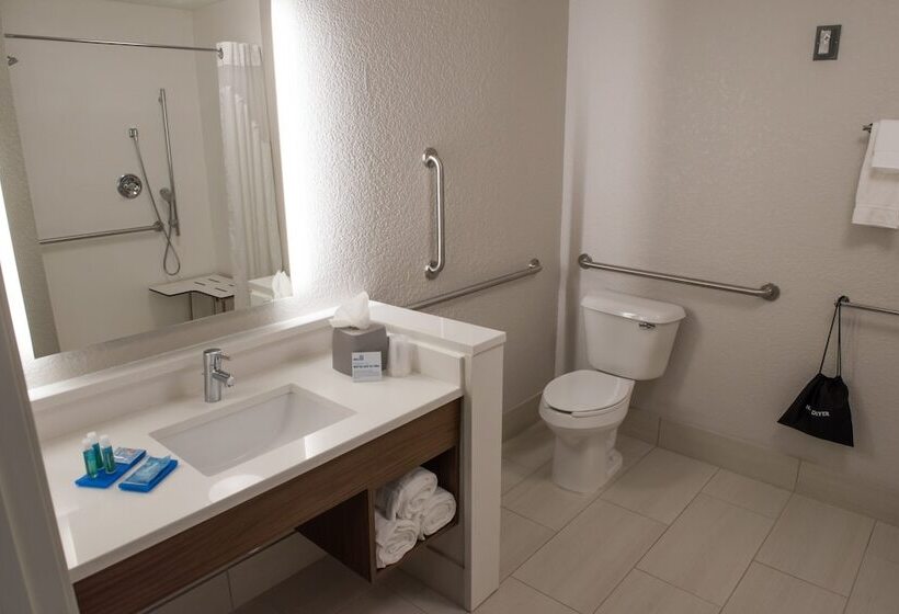 身障者適用スイートルーム, Holiday Inn Express & Suites   Orland Park Mokena, An Ihg