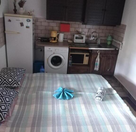 استودیو استاندارد با چشم‌انداز باغ, B&b Jonovic