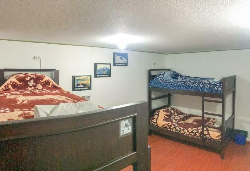 Bed in Shared Room with Shared Bathroom, Hostel Tierra De Fuego