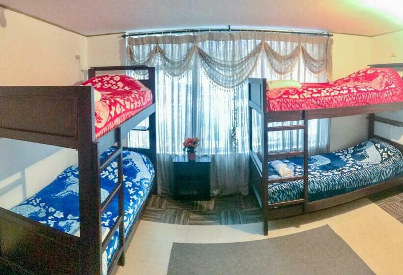 اتاق خانوادگی با سرویس بهداشتی مشترک, Hostel Tierra De Fuego