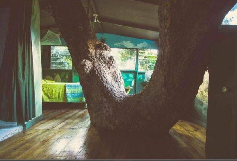 اتاق استاندارد با بالکن, Prince Valley Guesthouse
