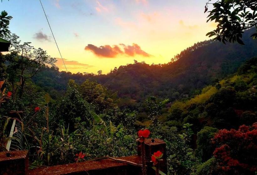 سوییت با چشم‌انداز باغ, Prince Valley Guesthouse