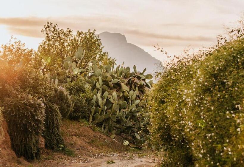 Номер Стандарт Вид на Сад, Terre Di Himera