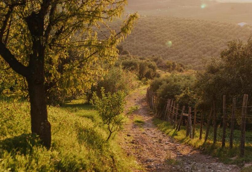 Номер Стандарт Вид на Сад, Terre Di Himera