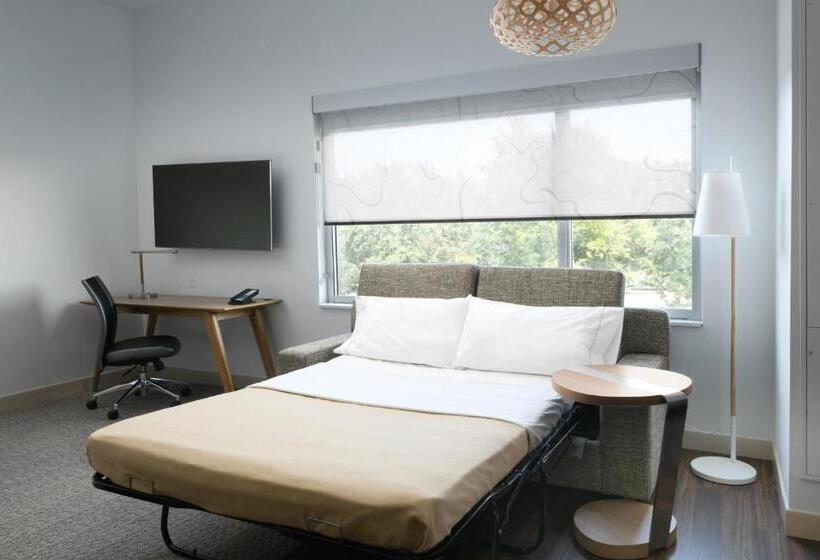 Люкс Executive Кровать Кинг, Element Austin Round Rock
