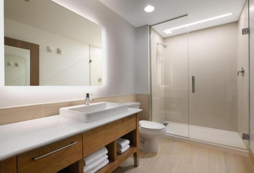 Студио Стандарт Кровать Кинг, Element Austin Round Rock
