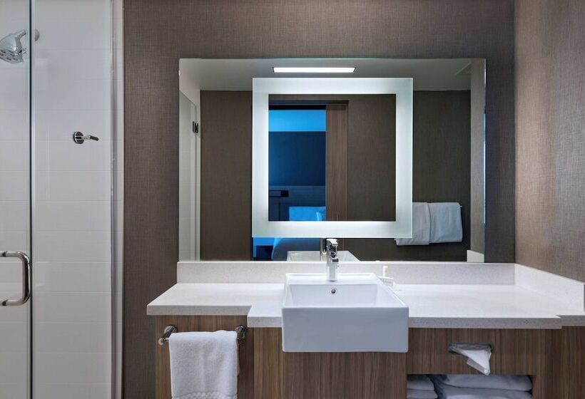 Люкс, Springhill Suites By Marriott Denver West/golden