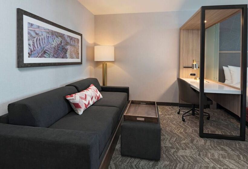 Люкс, Springhill Suites By Marriott Denver West/golden