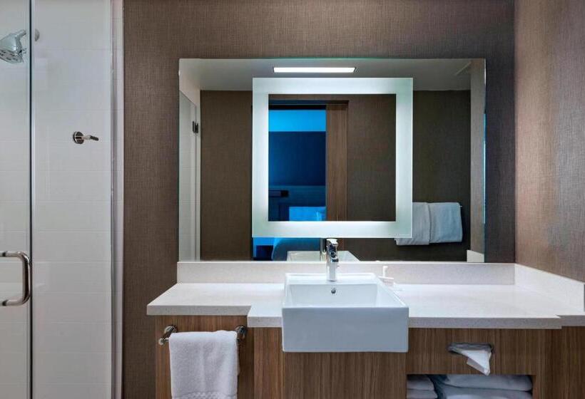 Люкс Кровать Кинг, Springhill Suites By Marriott Denver West/golden